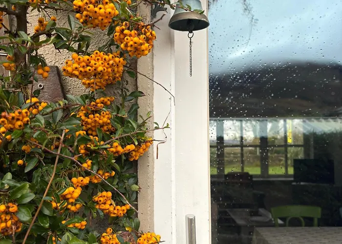 Croagh Patrick * Westport