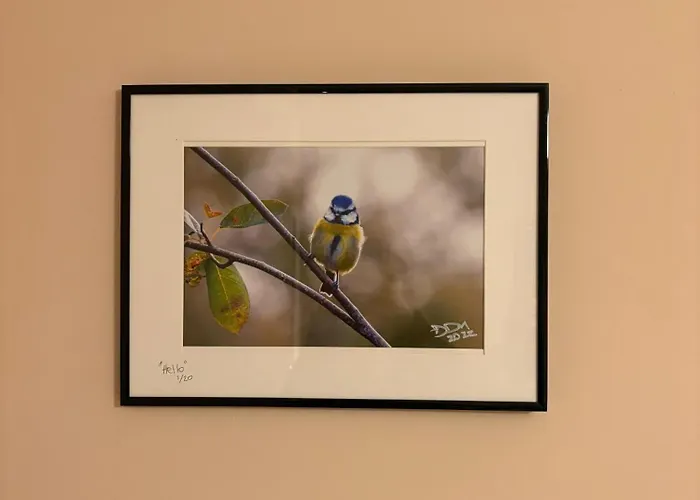 Croagh Patrick Westport