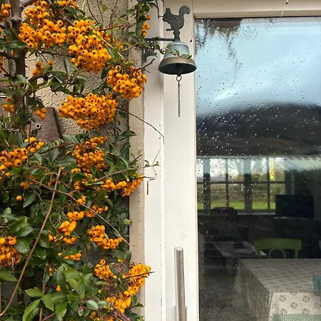 Croagh Patrick * ווסטפורט